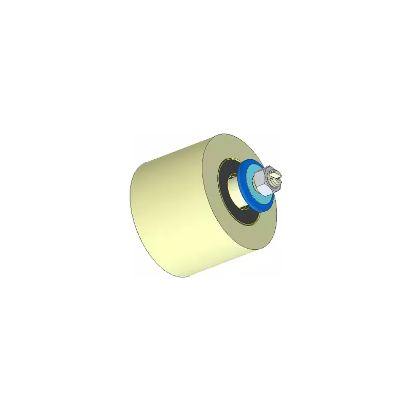Rullo n. 293 – rullo di supporto in plastica Ø80 mm per macchine Dewulf | OEM Dewulf 2660226 | produttore KiJ