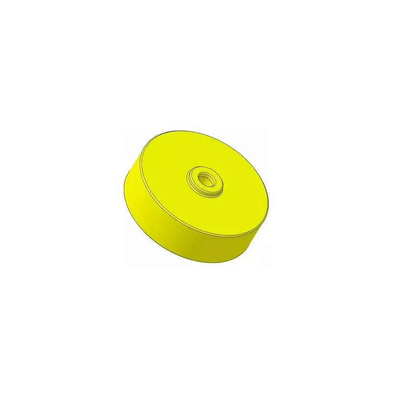 Rullo n. 317 – rullo in plastica Ø100 mm per macchine Guaresi | OEM Guaresi P7755190000 | produttore KiJ